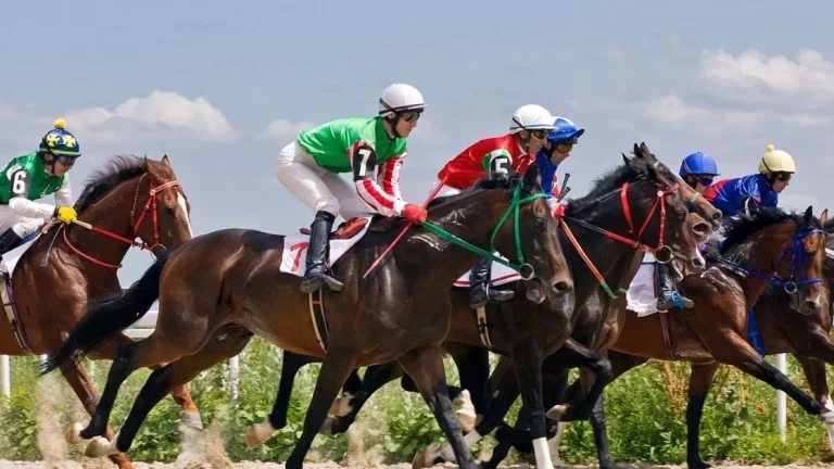 Trouver-le-meilleur-pronostic-turf