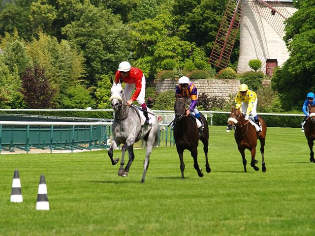 Cavalier et cheval galopant à une course d'obstacles
