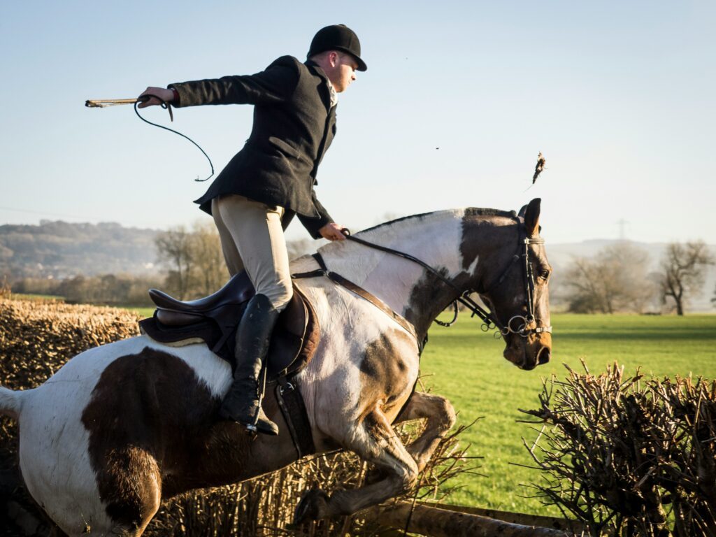découvrez les meilleurs centres équestres pour pratiquer l'équitation dans votre région. trouvez des installations modernes et des moniteurs qualifiés pour vivre votre passion du cheval.