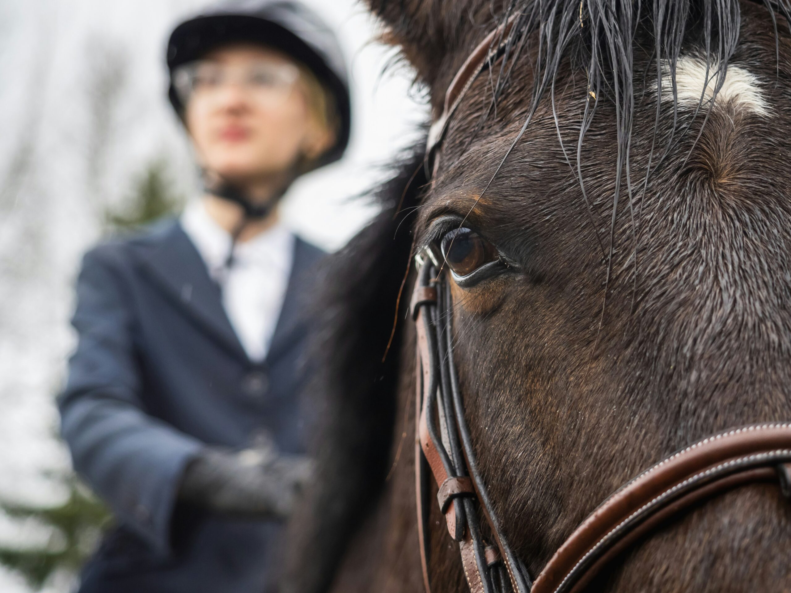 découvrez les meilleurs centres équestres pour pratiquer l'équitation et profiter d'activités équestres diverses. trouvez des installations de qualité près de chez vous et vivez des expériences uniques avec les chevaux.