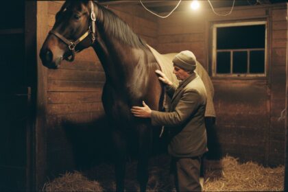 La base du Quinté de demain : 1 cheval d’appui et 3 outsiders à suivre
