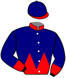 Casaque de GREY FIGHTER