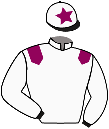 Casaque de EXCITING HUNT