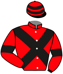 Casaque de ALERIC